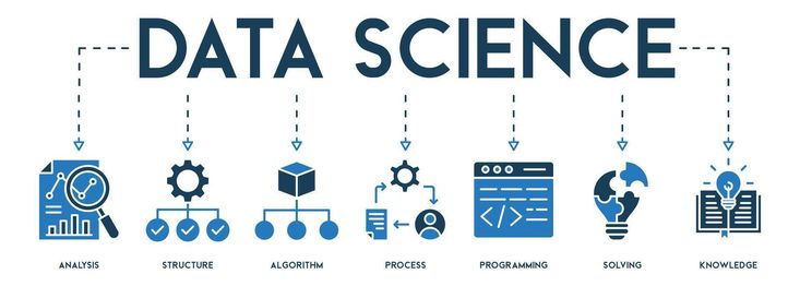 Data Scientist